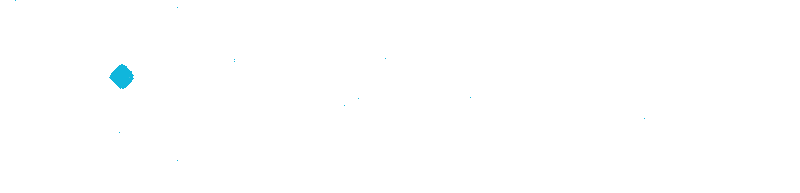 Digital Mate